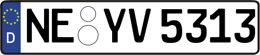 NE-YV5313