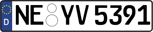 NE-YV5391
