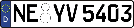 NE-YV5403