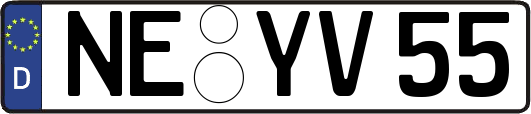 NE-YV55
