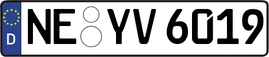 NE-YV6019