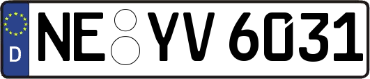 NE-YV6031