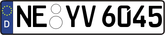 NE-YV6045