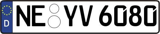NE-YV6080