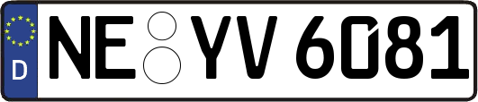 NE-YV6081