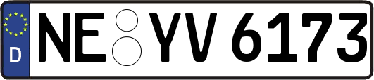 NE-YV6173