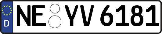 NE-YV6181