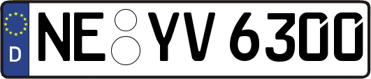 NE-YV6300