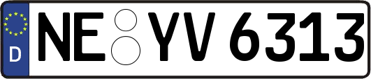 NE-YV6313