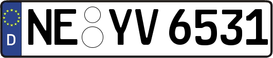 NE-YV6531