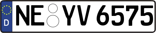 NE-YV6575