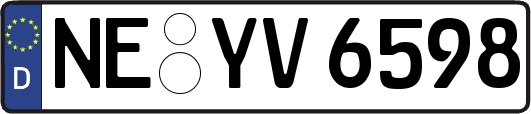 NE-YV6598