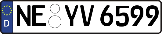 NE-YV6599