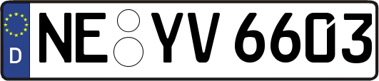 NE-YV6603