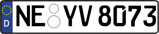 NE-YV8073