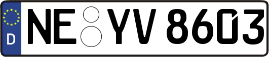 NE-YV8603