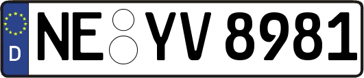 NE-YV8981