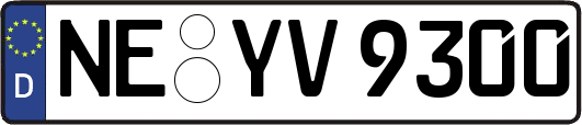 NE-YV9300