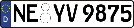 NE-YV9875