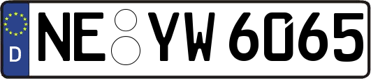 NE-YW6065