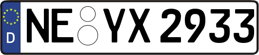 NE-YX2933
