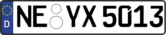 NE-YX5013