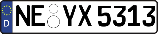 NE-YX5313