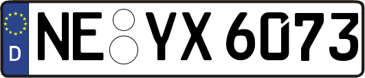 NE-YX6073