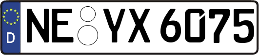 NE-YX6075