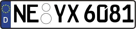 NE-YX6081