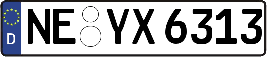 NE-YX6313