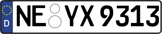 NE-YX9313