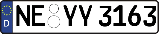 NE-YY3163