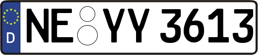 NE-YY3613
