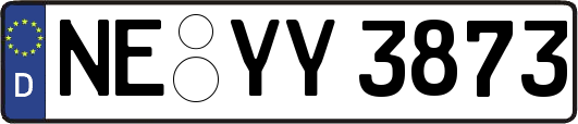 NE-YY3873