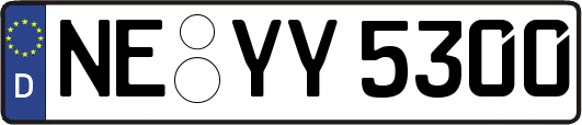 NE-YY5300