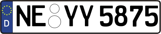 NE-YY5875