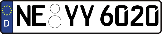 NE-YY6020