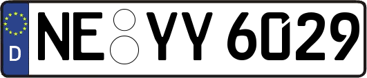 NE-YY6029