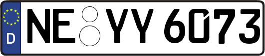 NE-YY6073