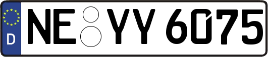 NE-YY6075