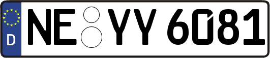 NE-YY6081