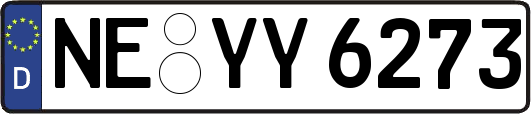 NE-YY6273