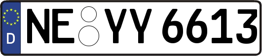 NE-YY6613