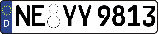 NE-YY9813