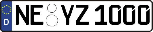 NE-YZ1000