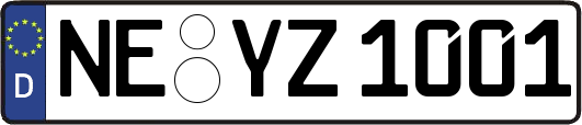 NE-YZ1001