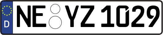 NE-YZ1029