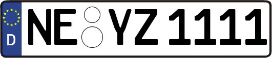 NE-YZ1111
