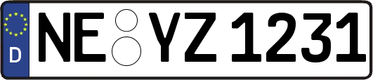 NE-YZ1231